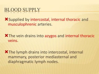 BLOOD SUPPLY
Supplied by intercostal, internal thoracic and
musculophrenic arteries.
The vein drains into azygos and internal thoracic
veins.
The lymph drains into intercostal, internal
mammary, posterior mediasternal and
diaphragmatic lymph nodes.
 