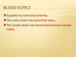 BLOOD SUPPLY
Supplied by bronchial arteries.
The veins drain into bronchial veins.
The lymph drain into bronchopulmonary lymph
nodes.
 