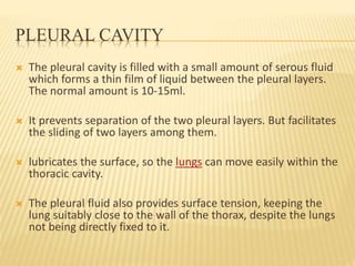 PLEURAL CAVITY
 The pleural cavity is filled with a small amount of serous fluid
which forms a thin film of liquid between the pleural layers.
The normal amount is 10-15ml.
 It prevents separation of the two pleural layers. But facilitates
the sliding of two layers among them.
 lubricates the surface, so the lungs can move easily within the
thoracic cavity.
 The pleural fluid also provides surface tension, keeping the
lung suitably close to the wall of the thorax, despite the lungs
not being directly fixed to it.
 