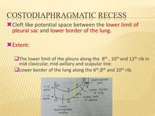 COSTODIAPHRAGMATIC RECESS
Cleft like potential space between the lower limit of
pleural sac and lower border of the lung.
Extent:
The lower limit of the pleura along the 8th , 10th and 12th rib in
mid clavicular, mid-axillary and scapular line
Lower border of the lung along the 6th,8th and 10th rib.
 