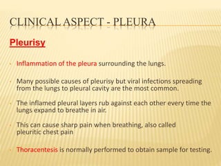 CLINICAL ASPECT - PLEURA
Pleurisy
• Inflammation of the pleura surrounding the lungs.
• Many possible causes of pleurisy but viral infections spreading
from the lungs to pleural cavity are the most common.
• The inflamed pleural layers rub against each other every time the
lungs expand to breathe in air.
• This can cause sharp pain when breathing, also called
pleuritic chest pain
• Thoracentesis is normally performed to obtain sample for testing.
 