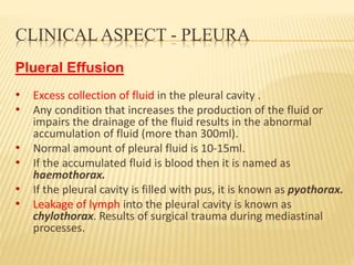 CLINICAL ASPECT - PLEURA
Plueral Effusion
• Excess collection of fluid in the pleural cavity .
• Any condition that increases the production of the fluid or
impairs the drainage of the fluid results in the abnormal
accumulation of fluid (more than 300ml).
• Normal amount of pleural fluid is 10-15ml.
• If the accumulated fluid is blood then it is named as
haemothorax.
• If the pleural cavity is filled with pus, it is known as pyothorax.
• Leakage of lymph into the pleural cavity is known as
chylothorax. Results of surgical trauma during mediastinal
processes.
 