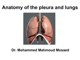 Anatomy of the pleura and lungs
Dr. Mohammed Mahmoud Mosaed
 