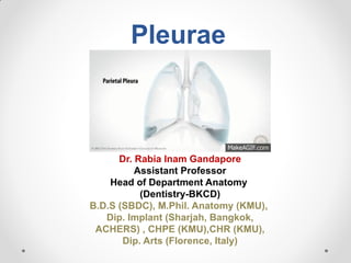 Pleurae
Dr. Rabia Inam Gandapore
Assistant Professor
Head of Department Anatomy
(Dentistry-BKCD)
B.D.S (SBDC), M.Phil. Anatomy (KMU),
Dip. Implant (Sharjah, Bangkok,
ACHERS) , CHPE (KMU),CHR (KMU),
Dip. Arts (Florence, Italy)
 