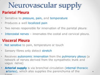 Neurovascular supply
Parietal Pleura
• Sensitive to pressure, pain, and temperature
• Produces a well localized pain
• Two nerves responsible for innervation of the parietal pleura:
• Intercostal nerves – innervates the costal and cervical pleura.
Visceral Pleura
• Not sensitive to pain, temperature or touch
• Sensory fibres only detect stretch
• Receives autonomic innervation from the pulmonary plexus (a
network of nerves derived from the sympathetic trunk and
vagus nerve)
• Arterial supply is via bronchial circulation (internal thoracic
arteries), which also supplies the parenchyma of the
 