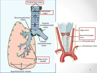 Pleurae,  Trachea & Principal Bronchi By Dr Rabia Inam Gandapore.pptx