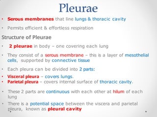 Pleurae
• Serous membranes that line lungs & thoracic cavity
• Permits efficient & effortless respiration
Structure of Pleurae
• 2 pleurae in body – one covering each lung
• They consist of a serous membrane – this is a layer of mesothelial
cells, supported by connective tissue
• Each pleura can be divided into 2 parts:
• Visceral pleura – covers lungs.
• Parietal pleura – covers internal surface of thoracic cavity.
• These 2 parts are continuous with each other at hilum of each
lung
• There is a potential space between the viscera and parietal
pleura, known as pleural cavity
 