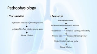 Pathophysiology
• Transudative • Exudative
Hydrostatic pressure or Oncotic pressure
Leakage of the fluid into the pleural space
Pleural Effusion
Initiation of an Inflammatory reaction
Vasodilation Increased Capillary permeability
Invasion of microbes
Proteins leaks Decreased Oncotic pressure
Fluid shift into the pleural cavity
Pleural Effusion
 