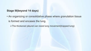 Stage III(beyond 14 days)
• An organizing or consolidative phase where granulation tissue
is formed and encases the lung.
The thickened pleural can resist lung movement(trapped lung)
 