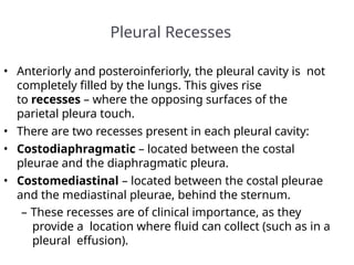 Pleural Recesses
• Anteriorly and posteroinferiorly, the pleural cavity is not
completely filled by the lungs. This gives rise
to recesses – where the opposing surfaces of the
parietal pleura touch.
• There are two recesses present in each pleural cavity:
• Costodiaphragmatic – located between the costal
pleurae and the diaphragmatic pleura.
• Costomediastinal – located between the costal pleurae
and the mediastinal pleurae, behind the sternum.
– These recesses are of clinical importance, as they
provide a location where fluid can collect (such as in a
pleural effusion).
 