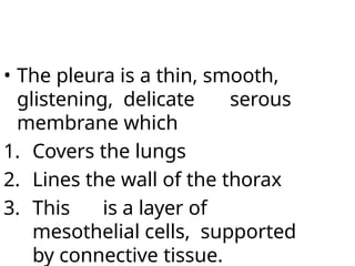 • The pleura is a thin, smooth,
glistening, delicate serous
membrane which
1. Covers the lungs
2. Lines the wall of the thorax
3. This is a layer of
mesothelial cells, supported
by connective tissue.
 