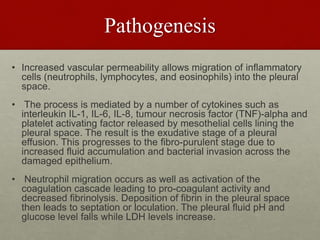 Pathogenesis
• Increased vascular permeability allows migration of inflammatory
cells (neutrophils, lymphocytes, and eosinophils) into the pleural
space.
• The process is mediated by a number of cytokines such as
interleukin IL-1, IL-6, IL-8, tumour necrosis factor (TNF)-alpha and
platelet activating factor released by mesothelial cells lining the
pleural space. The result is the exudative stage of a pleural
effusion. This progresses to the fibro-purulent stage due to
increased fluid accumulation and bacterial invasion across the
damaged epithelium.
• Neutrophil migration occurs as well as activation of the
coagulation cascade leading to pro-coagulant activity and
decreased fibrinolysis. Deposition of fibrin in the pleural space
then leads to septation or loculation. The pleural fluid pH and
glucose level falls while LDH levels increase.
 