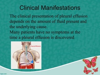 Clinical Manifestations
The clinical presentation of pleural effusion
depends on the amount of fluid present and
the underlying cause.
Many patients have no symptoms at the
time a pleural effusion is discovered.
 