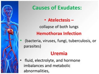 Causes of Exudates:
• Atelectesis –
collapse of both lungs
Hemothorax Infection
• (bacteria, viruses, fungi, tuberculosis, or
parasites)
Uremia
• fluid, electrolyte, and hormone
imbalances and metabolic
abnormalities,
 