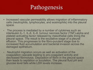 Pathogenesis
• Increased vascular permeability allows migration of inflammatory
cells (neutrophils, lymphocytes, and eosinophils) into the pleural
space.
• The process is mediated by a number of cytokines such as
interleukin IL-1, IL-6, IL-8, tumour necrosis factor (TNF)-alpha and
platelet activating factor released by mesothelial cells lining the
pleural space. The result is the exudative stage of a pleural
effusion. This progresses to the fibro-purulent stage due to
increased fluid accumulation and bacterial invasion across the
damaged epithelium.
• Neutrophil migration occurs as well as activation of the
coagulation cascade leading to pro-coagulant activity and
decreased fibrinolysis. Deposition of fibrin in the pleural space
then leads to septation or loculation. The pleural fluid pH and
glucose level falls while LDH levels increase.
 