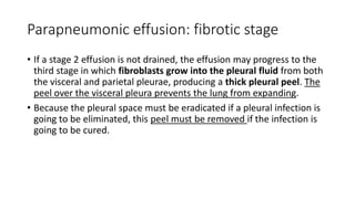 Parapneumonic effusion: fibrotic stage
• If a stage 2 effusion is not drained, the effusion may progress to the
third stage in which fibroblasts grow into the pleural fluid from both
the visceral and parietal pleurae, producing a thick pleural peel. The
peel over the visceral pleura prevents the lung from expanding.
• Because the pleural space must be eradicated if a pleural infection is
going to be eliminated, this peel must be removed if the infection is
going to be cured.
 