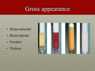 Gross appearance
• Straw-coloured
• Blood stained
• Purulent
• Chylous
 