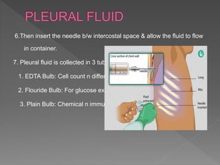 6.Then insert the needle b/w intercostal space & allow the fluid to flow
in container.
7. Pleural fluid is collected in 3 tubes:
1. EDTA Bulb: Cell count n differential count.
2. Flouride Bulb: For glucose examination.
3. Plain Bulb: Chemical n immunology study
 