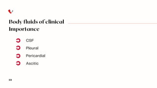 CSF
Pleural
Pericardial
Ascitic
Body fluids of clinical
Importance
03
 