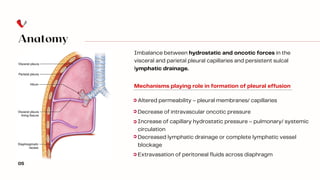 Anatomy
Altered permeability – pleural membranes/ capillaries
Decrease of intravascular oncotic pressure
Increase of capillary hydrostatic pressure – pulmonary/ systemic
circulation
Decreased lymphatic drainage or complete lymphatic vessel
blockage
Extravasation of peritoneal fluids across diaphragm
Imbalance between hydrostatic and oncotic forces in the
visceral and parietal pleural capillaries and persistent sulcal
lymphatic drainage.
05
Mechanisms playing role in formation of pleural effusion
 