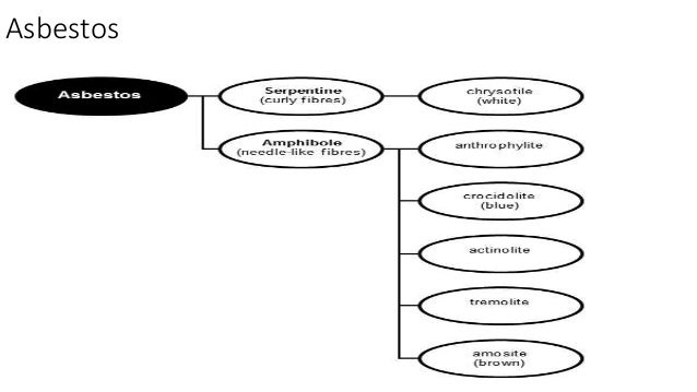 Pleural mesothelioma
