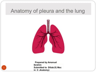 Anatomy of pleura and the lung
Prepared by Amanuel
Ibrahim
Submitted to Diliab.D( Msc
in C .Anatomy)
1
 
