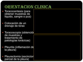 ORIENTACION CLINICA
 Toracocentesis (para
  obtener muestras de
  liquido, sangre o pus)

 Colocación de un
  drenaje de tórax

 Toracoscopia (obtención
  de muestras y
  tratamiento de
  patologías torácicas)

 Pleuritis (inflamación de
  la pleura)

 Pleurectomia (escincion
  parcial de la pleura)
 