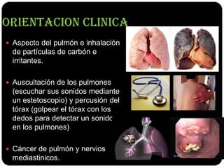 ORIENTACION CLINICA
 Aspecto del pulmón e inhalación
 de partículas de carbón e
 irritantes.

 Auscultación de los pulmones
 (escuchar sus sonidos mediante
 un estetoscopio) y percusión del
 tórax (golpear el tórax con los
 dedos para detectar un sonido
 en los pulmones)

 Cáncer de pulmón y nervios
 mediastinicos.
 