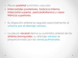 • Pleura parietal suministro vascular:
• Intercostales posteriores, torácica interna,
  intercostal superior, pericardiofrenica y vasos
  frénicos superiores.

• Su Irrigación arterial es seguido esencialmente al
  unísono por el drenaje venoso.

• La pleura visceral deriva su suministro arterial de las
  arterias bronquiales; su drenaje venoso es
  proporcionado por las venas pulmonares.
 