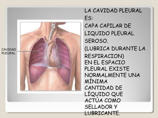 LA CAVIDAD PLEURAL
ES:
CAPA CAPILAR DE
LIQUIDO PLEURAL
SEROSO.
(LUBRICA DURANTE LA
RESPIRACION)
EN EL ESPACIO
PLEURAL EXISTE
NORMALMENTE UNA
MÍNIMA
CANTIDAD DE
LÍQUIDO QUE
ACTÚA COMO
SELLADOR Y
LUBRICANTE.
CAVIDAD
PLEURAL
PLEURA
 