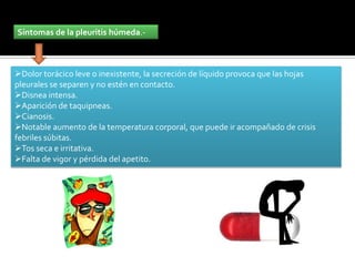 Síntomas de la pleuritis húmeda.-



Dolor torácico leve o inexistente, la secreción de líquido provoca que las hojas
pleurales se separen y no estén en contacto.
Disnea intensa.
Aparición de taquipneas.
Cianosis.
Notable aumento de la temperatura corporal, que puede ir acompañado de crisis
febriles súbitas.
Tos seca e irritativa.
Falta de vigor y pérdida del apetito.
 