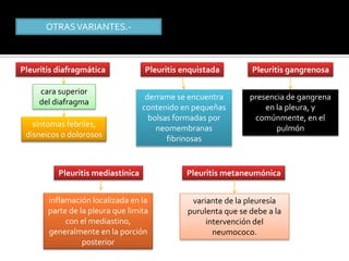 variante de la pleuresía purulenta que se debe a la intervención del neumococo.


                  OTRAS VARIANTES.-



       Pleuritis diafragmática                              Pleuritis enquistada               Pleuritis gangrenosa

               cara superior
                                                            derrame se encuentra               presencia de gangrena
               del diafragma
                                                           contenido en pequeñas                   en la pleura, y
                                                             bolsas formadas por                comúnmente, en el
           síntomas febriles,                                  neomembranas                           pulmón
         disneicos o dolorosos                                    fibrinosas


                       Pleuritis mediastínica                                 Pleuritis metaneumónica


                   inflamación localizada en la                                variante de la pleuresía
                   parte de la pleura que limita                              purulenta que se debe a la
                        con el mediastino,                                         intervención del
                   generalmente en la porción                                        neumococo.
                             posterior
 