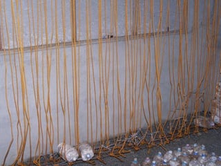 Pleurotus bagging and growing lectures.pdf