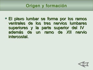 El plexo lumbar se forma por los ramosEl plexo lumbar se forma por los ramos
ventrales de los tres nervios lumbaresventrales de los tres nervios lumbares
superiores y la parte superior del IVsuperiores y la parte superior del IV
además de un ramo de XII nervioademás de un ramo de XII nervio
intercostal.intercostal.
Origen y formación
 