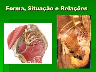 Forma, Situação e Relações 