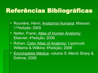 Referências Bibliográficas Rouvière, Henri;  Anatomía Humana ; Masson; 11ªedição; 2005 Netter, Frank;  Atlas of Human Anatomy ; Elsevier; 4ªedição; 2006 Rohen;  Color Atlas of Anatomy ; Lippincott Williams & Wilkins; 6ªedição; 2006 Enciclopédia Médica ; volume 5; Merck Sharp & Dohme; 2006 