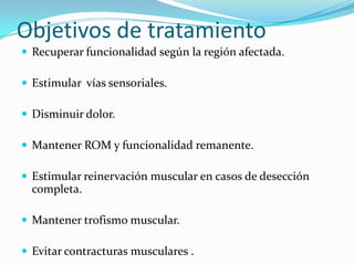 Objetivos de tratamiento
 Recuperar funcionalidad según la región afectada.

 Estimular vías sensoriales.

 Disminuir dolor.

 Mantener ROM y funcionalidad remanente.

 Estimular reinervación muscular en casos de desección
  completa.

 Mantener trofismo muscular.

 Evitar contracturas musculares .
 