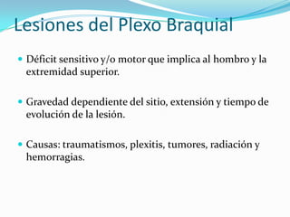 Lesiones del Plexo Braquial
 Déficit sensitivo y/o motor que implica al hombro y la
 extremidad superior.

 Gravedad dependiente del sitio, extensión y tiempo de
 evolución de la lesión.

 Causas: traumatismos, plexitis, tumores, radiación y
 hemorragias.
 