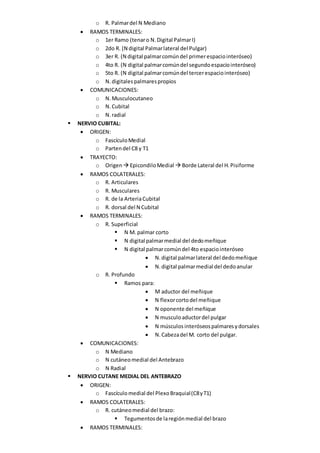 o R. Palmardel N Mediano
 RAMOS TERMINALES:
o 1er Ramo (tenaro N.Digital PalmarI)
o 2do R. (N digital Palmarlateral del Pulgar)
o 3er R. (N digital palmarcomúndel primerespaciointeróseo)
o 4to R. (N digital palmarcomúndel segundoespaciointeróseo)
o 5to R. (N digital palmarcomúndel tercerespaciointeróseo)
o N.digitalespalmarespropios
 COMUNICACIONES:
o N.Musculocutaneo
o N. Cubital
o N.radial
 NERVIO CUBITAL:
 ORIGEN:
o FascículoMedial
o Partendel C8 y T1
 TRAYECTO:
o Origen EpicondiloMedial  Borde Lateral del H.Pisiforme
 RAMOS COLATERALES:
o R. Articulares
o R. Musculares
o R. de la ArteriaCubital
o R. dorsal del N Cubital
 RAMOS TERMINALES:
o R. Superficial
 N M. palmar corto
 N digital palmarmedial del dedomeñique
 N digital palmarcomúndel 4to espaciointeróseo
 N.digital palmarlateral del dedomeñique
 N.digital palmarmedial del dedoanular
o R. Profundo
 Ramos para:
 M aductor del meñique
 N flexorcortodel meñique
 N oponente del meñique
 N musculoaductordel pulgar
 N músculos interóseospalmaresydorsales
 N.Cabezadel M. corto del pulgar.
 COMUNICACIONES:
o N Mediano
o N cutáneomedial del Antebrazo
o N Radial
 NERVIO CUTANE MEDIAL DEL ANTEBRAZO
 ORIGEN:
o Fascículomedial del PlexoBraquial(C8yT1)
 RAMOS COLATERALES:
o R. cutáneomedial del brazo:
 Tegumentosde laregiónmedial del brazo
 RAMOS TERMINALES:
 