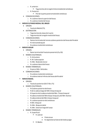 o R. anterior:
 Tegumentosde laregiónAnteromedial del antebrazo
o R. Posterior:
 Piel de laparte posteromedialdel antebrazo
 COMUNICACIONES:
o N.cutáneolateral superiordel brazo
o N.cutáneomedial del brazo
 NERVIO CUTANEOMEDIAL DEL BRAZO
 ORIGEN:
o FascículoMedial (T1)
 DISTRIBUCION:
o Tegumentosde abase de laaxila
o Tegumentosde laregiónmedial del brazo
 COMUNICACIONES:
o Ramos terminalesdel nerviocutáneoposteriordel brazodel N radial
o N intercostobraquial
o N cutáneomedial del antebrazo
 NERVIO AXILAR
 ORIGEN:
o Ramo terminal del Fascículoposterior(c5y C6)
 RAMOS COLATERALES:
o R. Articulares
o R. M. Subescapular
o N.Mm. Redondomenor
o N.cutáneolateral del brazo
 RAMOS TERMINALES:
o N para el Mm. Deltoides
 COMUNICACIONES:
o N cutáneomedial del antebrazo
o N cutáneolateral inferiordel brazodel N radial
 NERVIO RADIAL
 ORIGEN:
o Fascículoposterior(C6 C7 C8 y T1)
 RAMOS COLATERALES:
o N Cutáneo posteriordel brazo
o N de la cabezalarga del Mm tríceps braquial
o N Superiorde lacabezamedial del Mm.Tríceps braquial
o N cabezamedial del Mmtríceps braquial ydel Mm Acóneo
o N cabezalateral del Mm tríceps braquial
o N.cutáneoposteriordel antebrazo
o N Mm. Braquial
o N.Mm. Braquiorradial
o N.Mm. Extensorlargodel carpo
 RAMOS TERMINALES:
o R. Superficial
 R. Lateral:
 Filete tenar
 N.digital dorsal lateral del dedopulgar
 R. Medio:
 