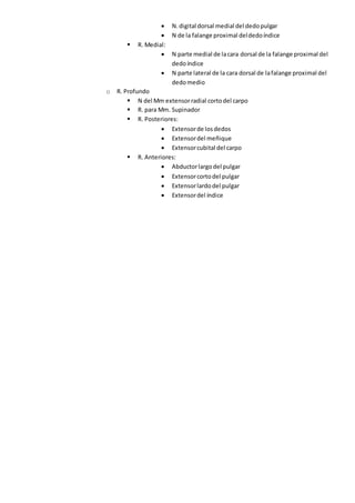  N.digital dorsal medial del dedopulgar
 N de la falange proximal deldedoíndice
 R. Medial:
 N parte medial de lacara dorsal de la falange proximal del
dedoíndice
 N parte lateral de la cara dorsal de lafalange proximal del
dedomedio
o R. Profundo
 N del Mm extensorradial cortodel carpo
 R. para Mm. Supinador
 R. Posteriores:
 Extensorde losdedos
 Extensordel meñique
 Extensorcubital del carpo
 R. Anteriores:
 Abductorlargodel pulgar
 Extensorcortodel pulgar
 Extensorlardodel pulgar
 Extensordel índice
 