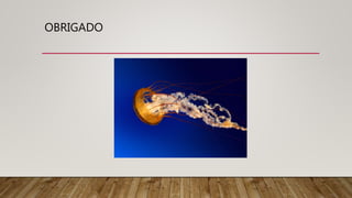 LESÃO DO NERVO RADIAL