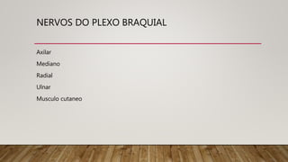 NERVOS DO PLEXO BRAQUIAL
Axilar
Mediano
Radial
Ulnar
Musculo cutaneo