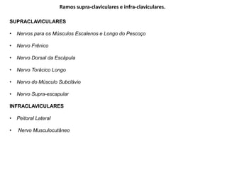 Ramos supra-claviculares e infra-claviculares.
SUPRACLAVICULARES
• Nervos para os Músculos Escalenos e Longo do Pescoço
• Nervo Frênico
• Nervo Dorsal da Escápula
• Nervo Torácico Longo
• Nervo do Músculo Subclávio
• Nervo Supra-escapular
INFRACLAVICULARES
• Peitoral Lateral
• Nervo Musculocutâneo
 