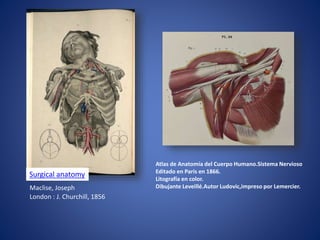 Surgical anatomy
Maclise, Joseph
London : J. Churchill, 1856
Atlas de Anatomía del Cuerpo Humano.Sistema Nervioso
Editado en Paris en 1866.
Litografía en color.
Dibujante Leveillé.Autor Ludovic,impreso por Lemercier.
 