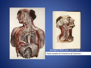 Traité complet de l'anatomie de l'homme /
Bourgery, Marc Jean, 1797-1849
 
