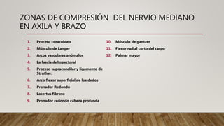 ZONAS DE COMPRESIÓN DEL NERVIO MEDIANO
EN AXILA Y BRAZO
1. Proceso coracoideo
2. Músculo de Langer
3. Arcos vasculares anómalos
4. La fascia deltopectoral
5. Proceso supracondilar y ligamento de
Struther.
6. Arco flexor superficial de los dedos
7. Pronador Redondo
8. Lacertus fibroso
9. Pronador redondo cabeza profunda
10. Músculo de gantzer
11. Flexor radial corto del carpo
12. Palmar mayor
 
