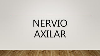 NERVIO
AXILAR
 