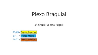 Plexo Braquial
C4-C7 (pre) C5-TI C6-T2(pos)
C5-C6= Tronco Superior
C7 = Tronco Medio
C8-T1= Tronco Inferior
 