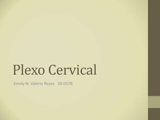 Plexo Cervical
Emely N. Valerio Reyes 10-0578
 